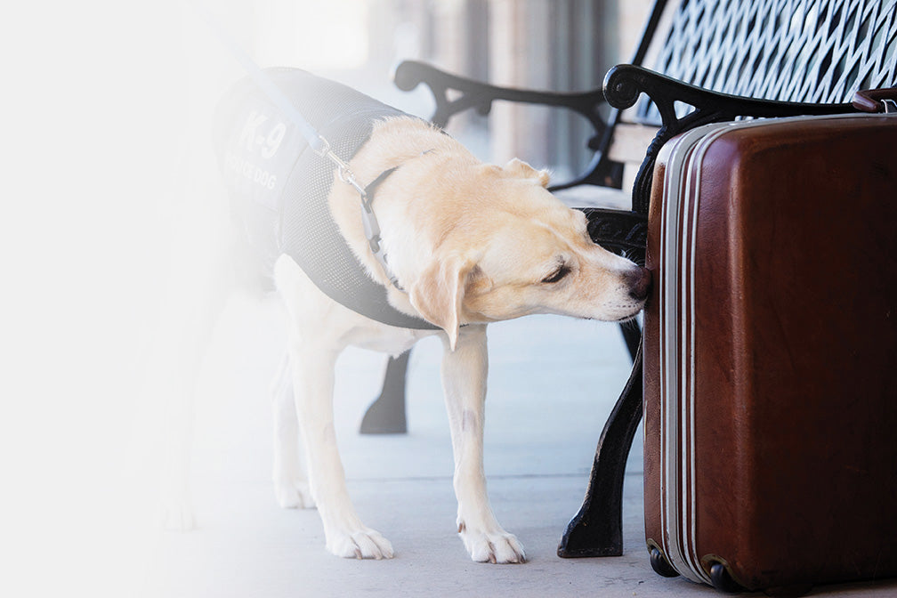 Scent Detection Narc Bag